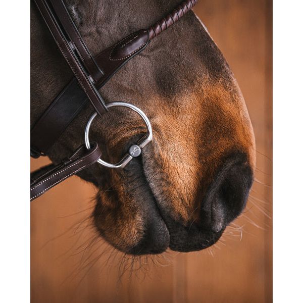 Fafner Ring Fager Annie Titanium Fixed Ring – Fager Bits USA
