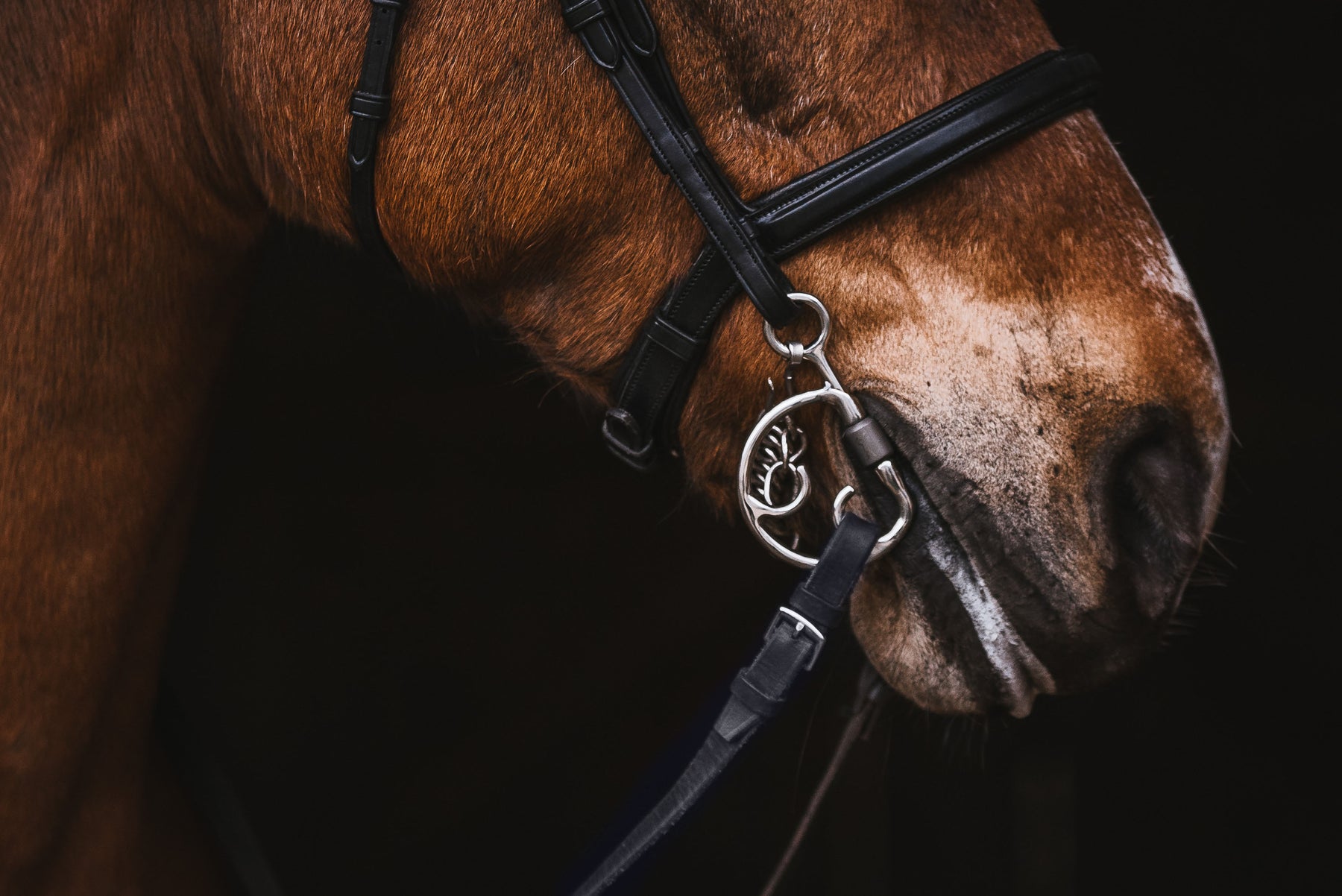 FAGER Bits USA | The Most Advanced Bits for your Horses – Fager Bits USA