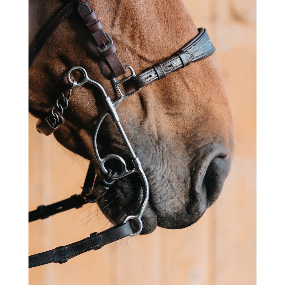 thumbnail image 2 of HorseBiz Flower Shank Leather Hackamore – Bitless Bridle With Choice Of Shank Color 2 of 6